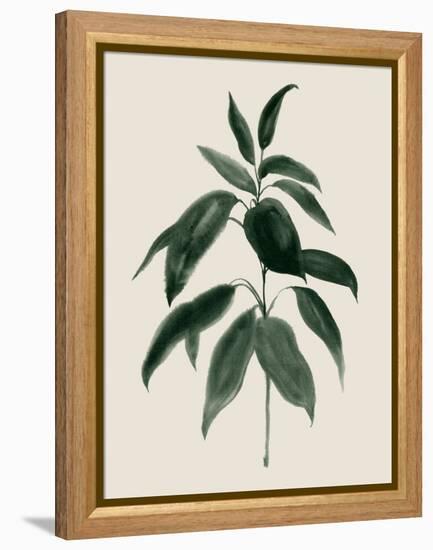 Soft Greenery II-Grace Popp-Framed Stretched Canvas