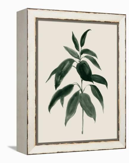 Soft Greenery II-Grace Popp-Framed Stretched Canvas