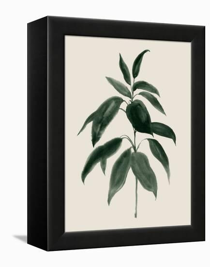 Soft Greenery II-Grace Popp-Framed Stretched Canvas