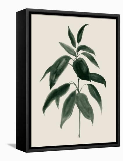 Soft Greenery II-Grace Popp-Framed Stretched Canvas