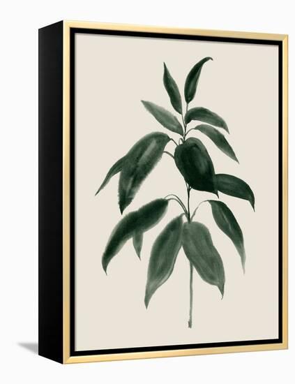 Soft Greenery II-Grace Popp-Framed Stretched Canvas