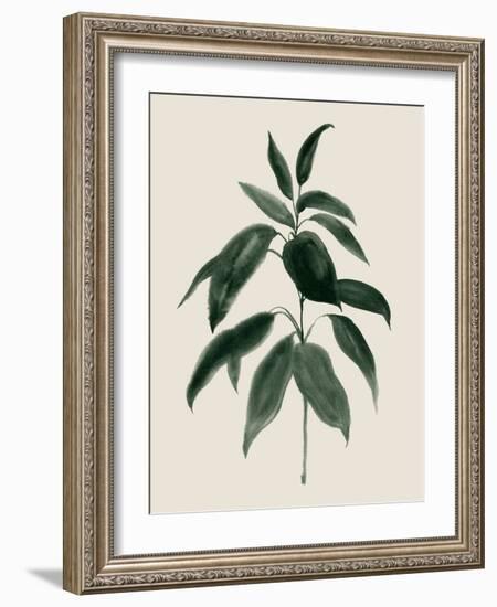 Soft Greenery II-Grace Popp-Framed Art Print