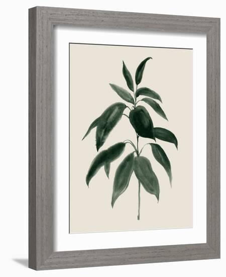 Soft Greenery II-Grace Popp-Framed Art Print