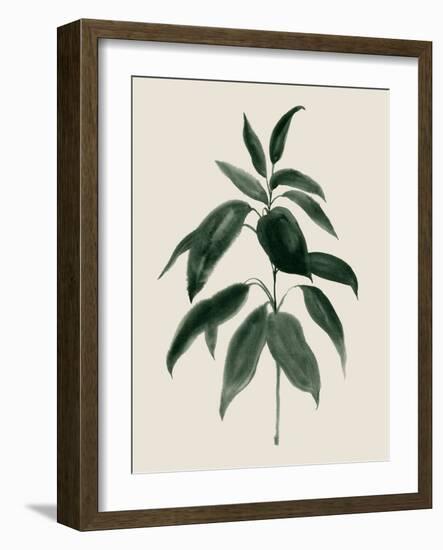 Soft Greenery II-Grace Popp-Framed Art Print