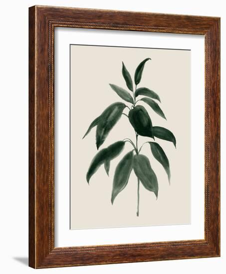 Soft Greenery II-Grace Popp-Framed Art Print