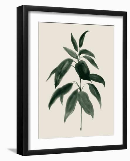 Soft Greenery II-Grace Popp-Framed Art Print