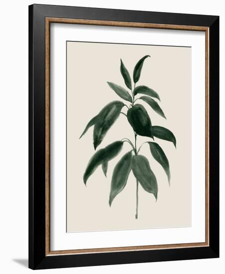 Soft Greenery II-Grace Popp-Framed Art Print