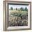 Soft Grove-Tim O'toole-Framed Giclee Print