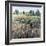 Soft Grove-Tim O'toole-Framed Giclee Print