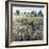 Soft Grove-Tim O'toole-Framed Giclee Print