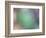 Soft Landscape IX-James McLoughlin-Framed Photographic Print