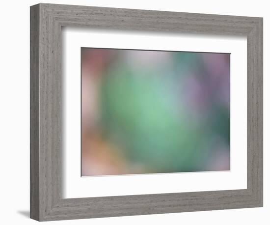 Soft Landscape IX-James McLoughlin-Framed Photographic Print