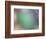 Soft Landscape IX-James McLoughlin-Framed Photographic Print