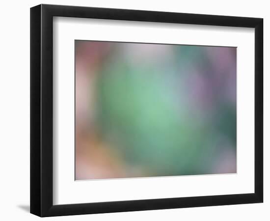 Soft Landscape IX-James McLoughlin-Framed Photographic Print