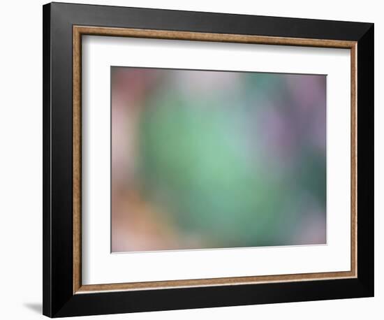 Soft Landscape IX-James McLoughlin-Framed Photographic Print