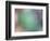 Soft Landscape IX-James McLoughlin-Framed Photographic Print