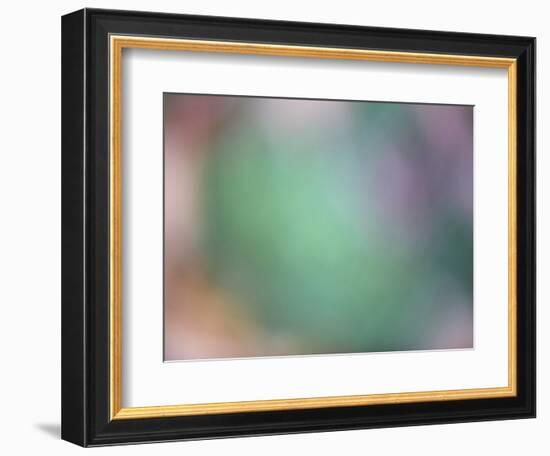 Soft Landscape IX-James McLoughlin-Framed Photographic Print