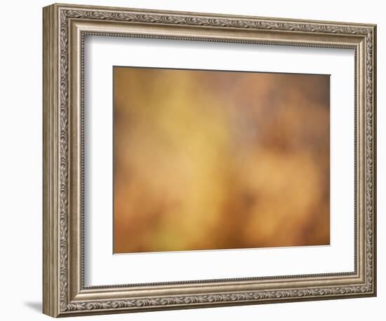 Soft Landscape V-James McLoughlin-Framed Photographic Print