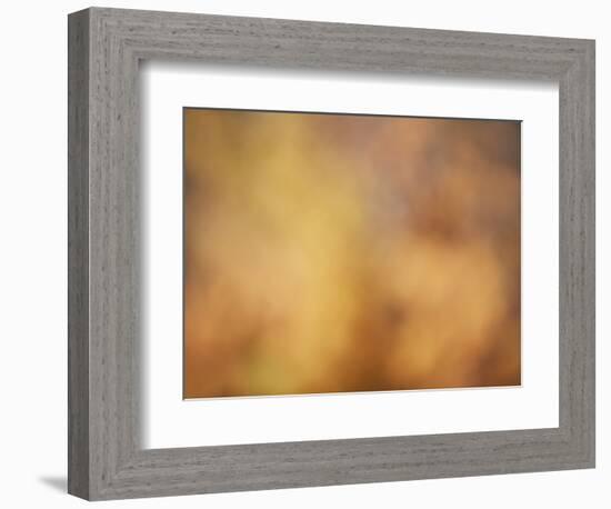 Soft Landscape V-James McLoughlin-Framed Photographic Print