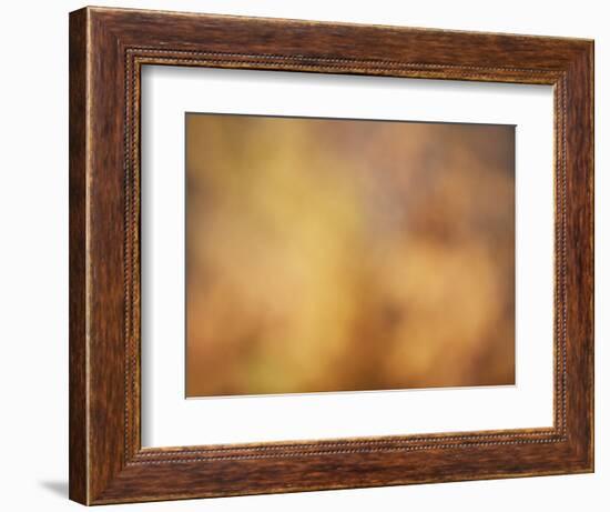 Soft Landscape V-James McLoughlin-Framed Photographic Print