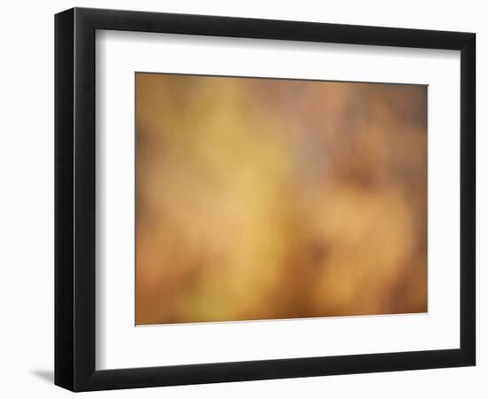 Soft Landscape V-James McLoughlin-Framed Photographic Print