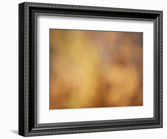 Soft Landscape V-James McLoughlin-Framed Photographic Print