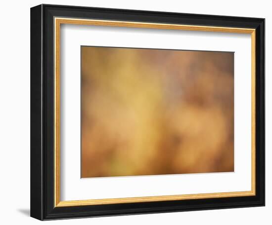 Soft Landscape V-James McLoughlin-Framed Photographic Print