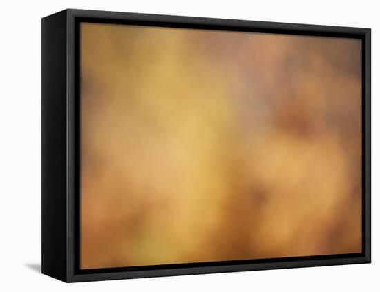 Soft Landscape V-James McLoughlin-Framed Premier Image Canvas