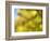 Soft Landscape VI-James McLoughlin-Framed Photographic Print