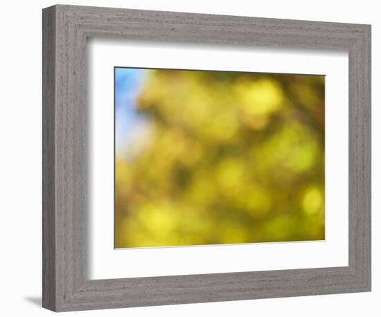 Soft Landscape VI-James McLoughlin-Framed Photographic Print