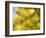 Soft Landscape VI-James McLoughlin-Framed Photographic Print