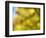 Soft Landscape VI-James McLoughlin-Framed Photographic Print