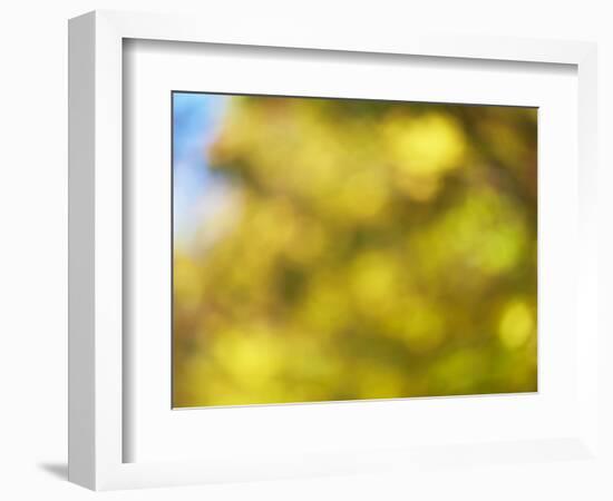 Soft Landscape VI-James McLoughlin-Framed Photographic Print