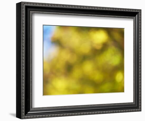 Soft Landscape VI-James McLoughlin-Framed Photographic Print