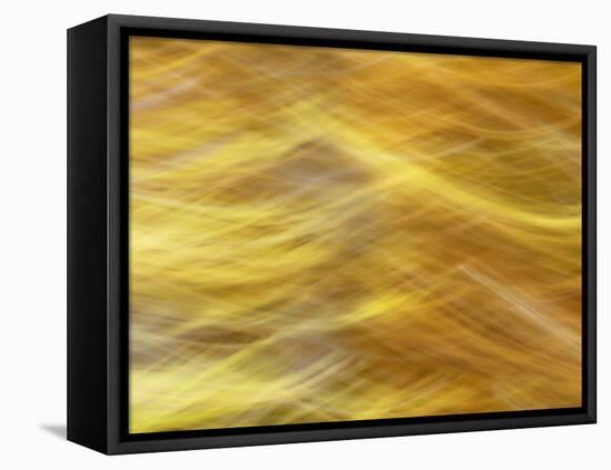 Soft Landscape VII-James McLoughlin-Framed Premier Image Canvas