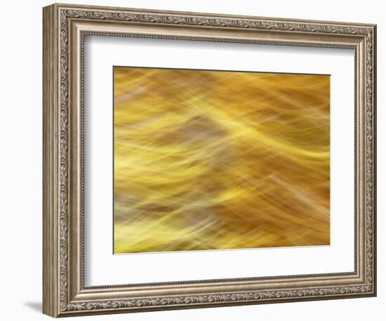 Soft Landscape VII-James McLoughlin-Framed Photographic Print