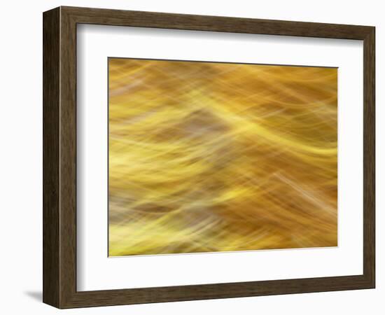 Soft Landscape VII-James McLoughlin-Framed Photographic Print