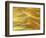 Soft Landscape VII-James McLoughlin-Framed Photographic Print