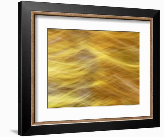 Soft Landscape VII-James McLoughlin-Framed Photographic Print