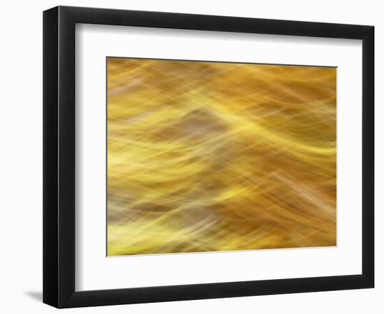 Soft Landscape VII-James McLoughlin-Framed Photographic Print