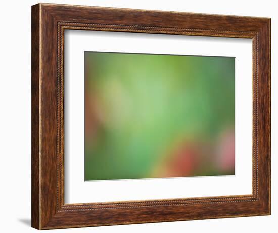 Soft Landscape VIII-James McLoughlin-Framed Photographic Print