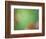 Soft Landscape VIII-James McLoughlin-Framed Photographic Print