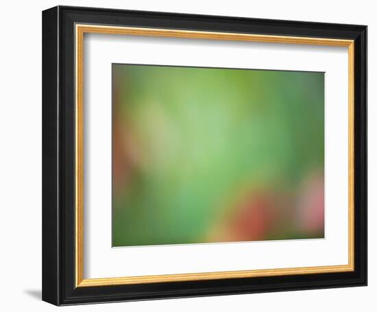 Soft Landscape VIII-James McLoughlin-Framed Photographic Print