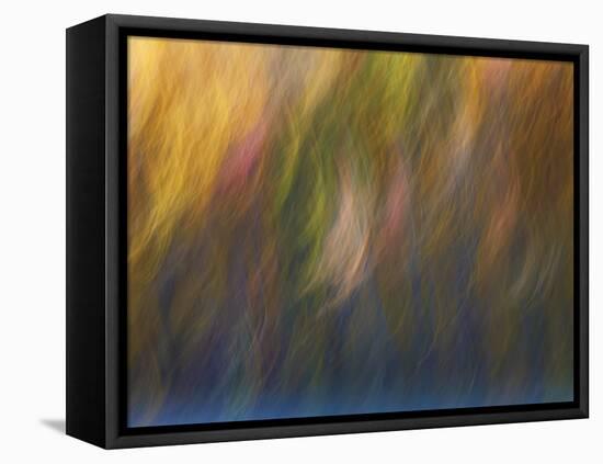 Soft Landscape X-James McLoughlin-Framed Premier Image Canvas