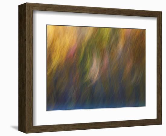 Soft Landscape X-James McLoughlin-Framed Photographic Print