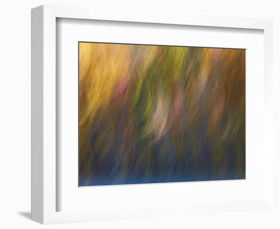 Soft Landscape X-James McLoughlin-Framed Photographic Print