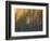 Soft Landscape X-James McLoughlin-Framed Photographic Print