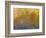 Soft Landscape XI-James McLoughlin-Framed Photographic Print