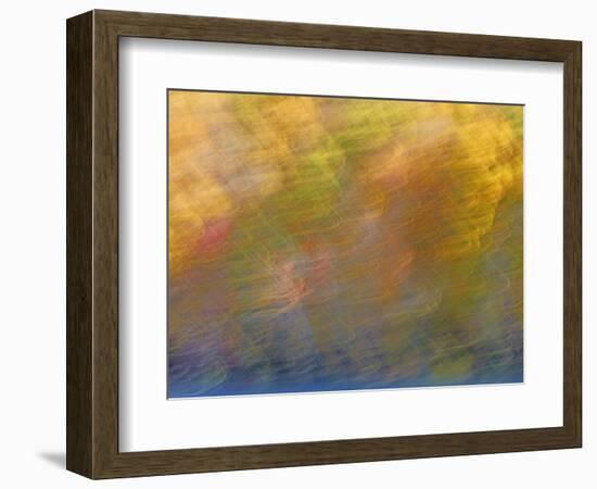 Soft Landscape XI-James McLoughlin-Framed Photographic Print