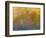 Soft Landscape XI-James McLoughlin-Framed Photographic Print